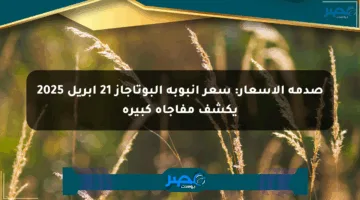 صدمة الأسعار: سعر أنبوبة البوتاجاز 21 أبريل 2025 يكشف مفاجأة كبيرة